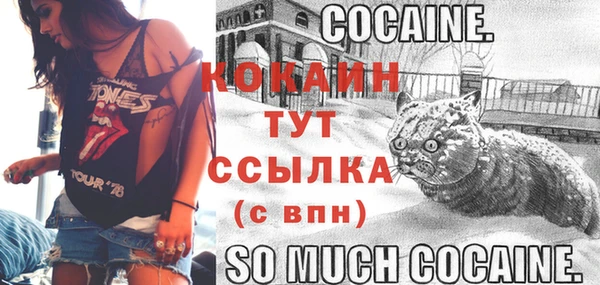 ПСИЛОЦИБИНОВЫЕ ГРИБЫ Бикин